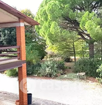 Foto annuncio 9