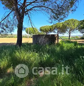 Foto annuncio 10