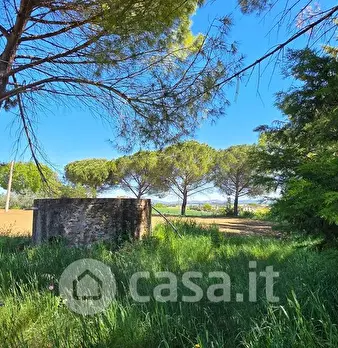 Foto annuncio 11