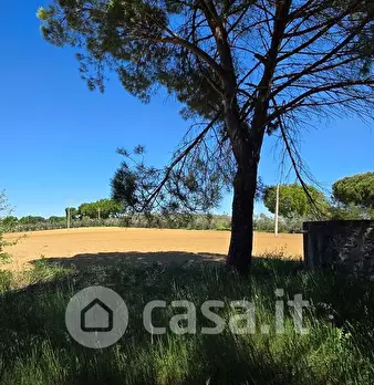 Foto annuncio 12