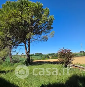 Foto annuncio 13