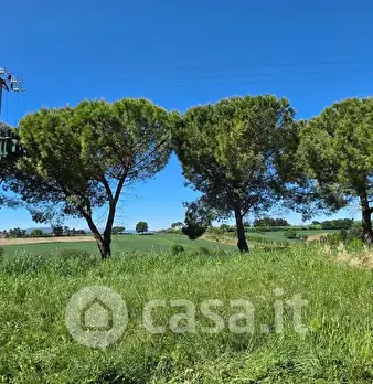 Foto annuncio 16