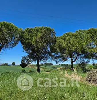 Foto annuncio 17