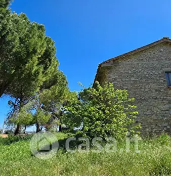Foto annuncio 18