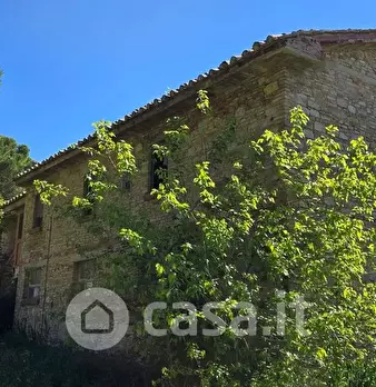Foto annuncio 19
