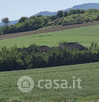 Foto annuncio 2