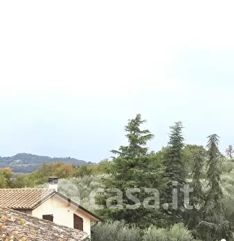Foto annuncio 36