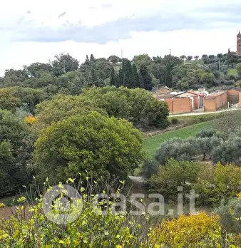 Foto annuncio 37