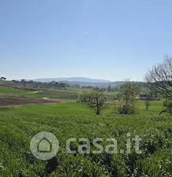 Foto annuncio 19