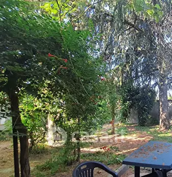 Foto annuncio 19