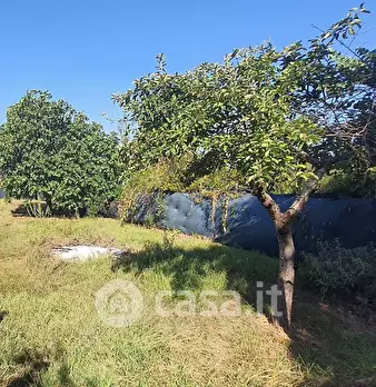 Foto annuncio 20