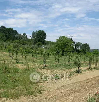 Foto annuncio 2