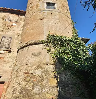 Foto annuncio 14