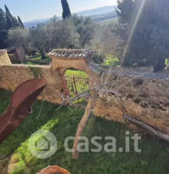 Foto annuncio 24