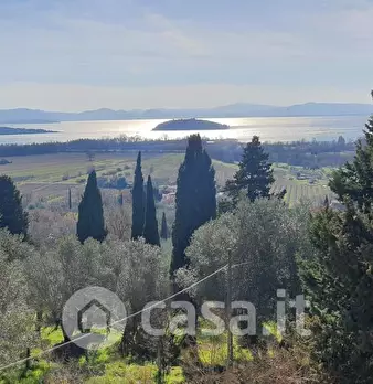 Foto annuncio 35