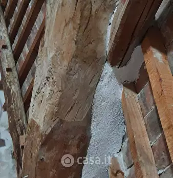 Foto annuncio 40