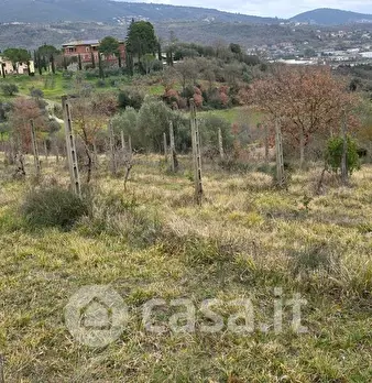 Foto annuncio 11