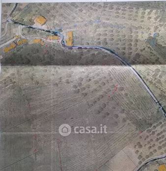 Foto annuncio 14