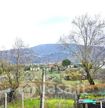 Foto annuncio 4