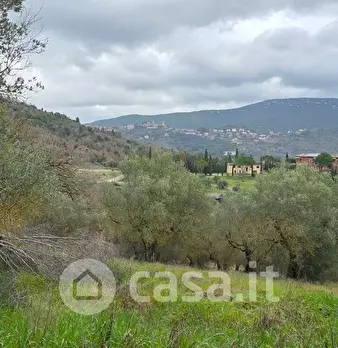 Foto annuncio 9