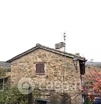 Foto annuncio 30