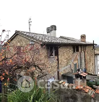 Foto annuncio 33