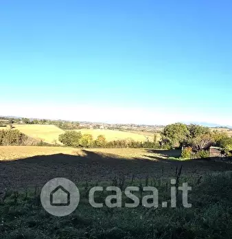 Foto annuncio 31