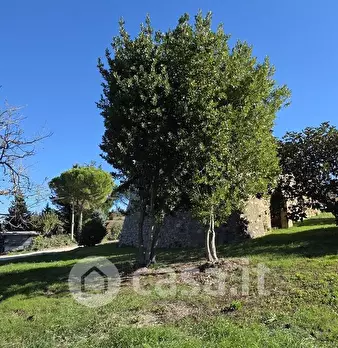 Foto annuncio 10