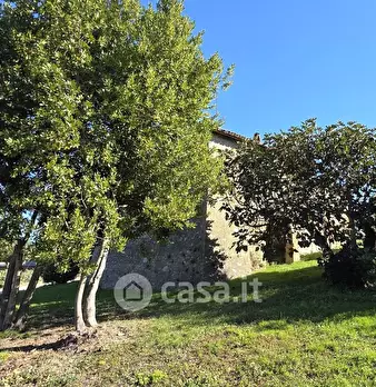 Foto annuncio 11