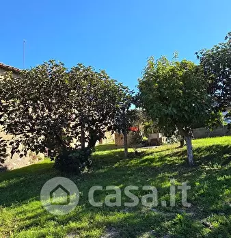 Foto annuncio 12