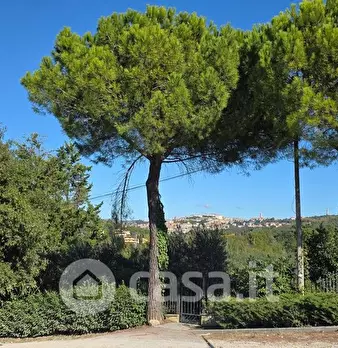 Foto annuncio 16