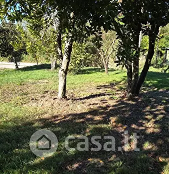 Foto annuncio 4