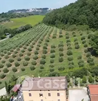 Foto annuncio 23