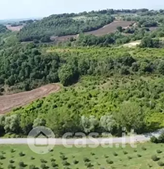 Foto annuncio 24