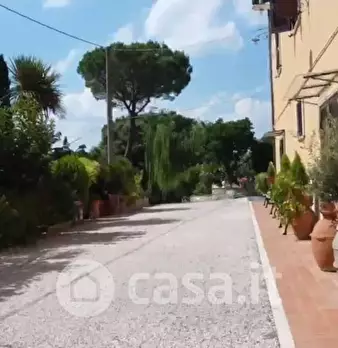 Foto annuncio 31