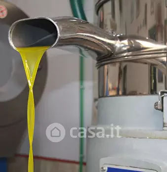 Foto annuncio 37