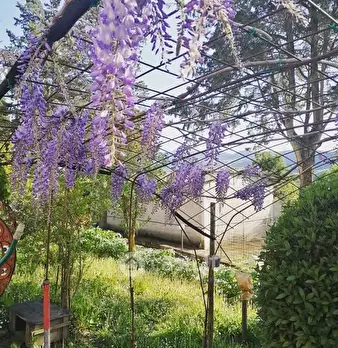 Foto annuncio 38
