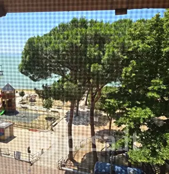 Foto annuncio 16