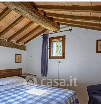 Foto annuncio 13