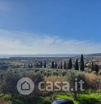 Foto annuncio 20