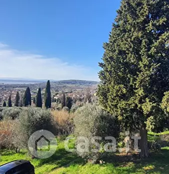 Foto annuncio 22
