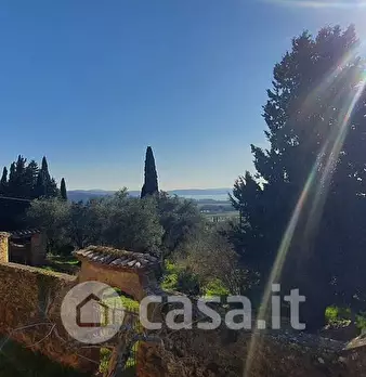 Foto annuncio 23