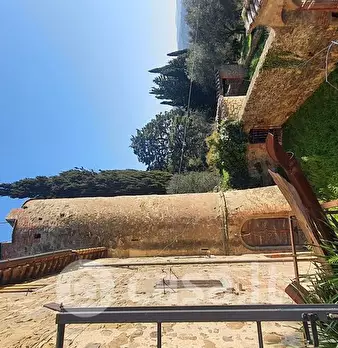 Foto annuncio 24