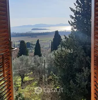 Foto annuncio 27