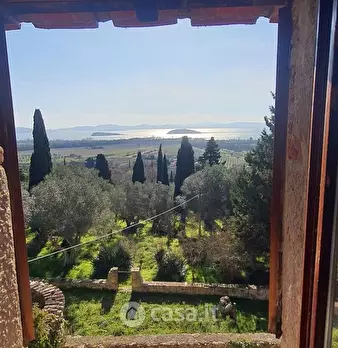 Foto annuncio 34