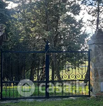 Foto annuncio 12