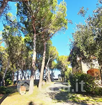Foto annuncio 13