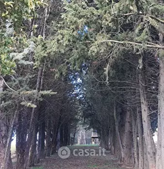 Foto annuncio 26