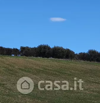 Foto annuncio 27