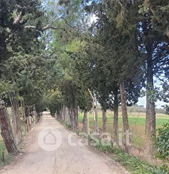 Foto annuncio 28